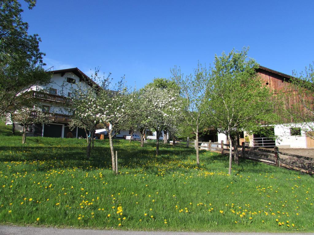 Ferienhof Breitenbaumer Spital Am Pyhrn Kültér fotó